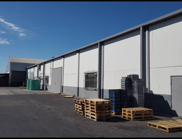 6,915M² FACTORY TO LET IN BELLVILLE CENTRAL